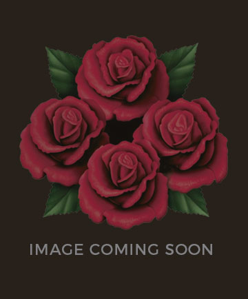 four roses silk necktie accessories four roses silk necktie accessories